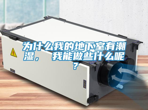為什么我的地下室有潮濕， 我能做些什么呢？