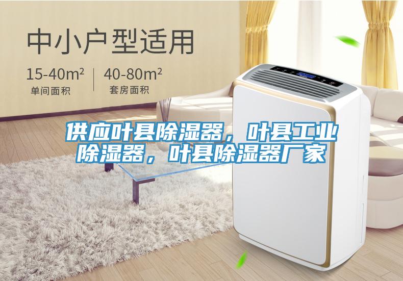 供應葉縣除濕器，葉縣工業(yè)除濕器，葉縣除濕器廠家