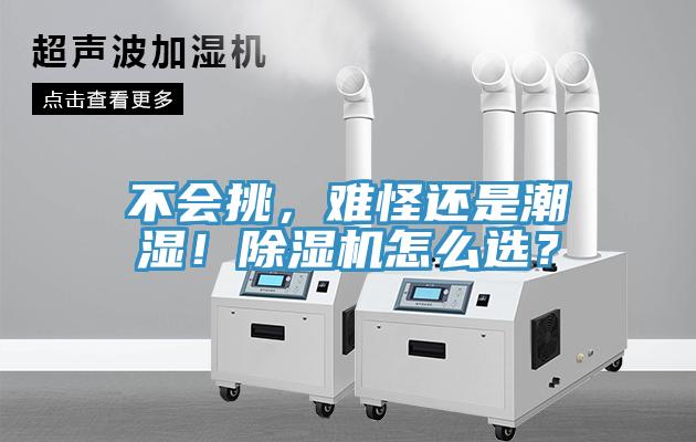 不會(huì)挑，難怪還是潮濕！除濕機(jī)怎么選？