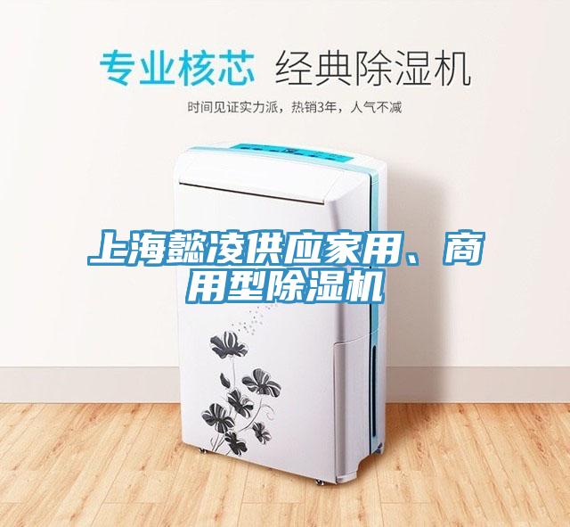 上海懿凌供應(yīng)家用、商用型除濕機(jī)