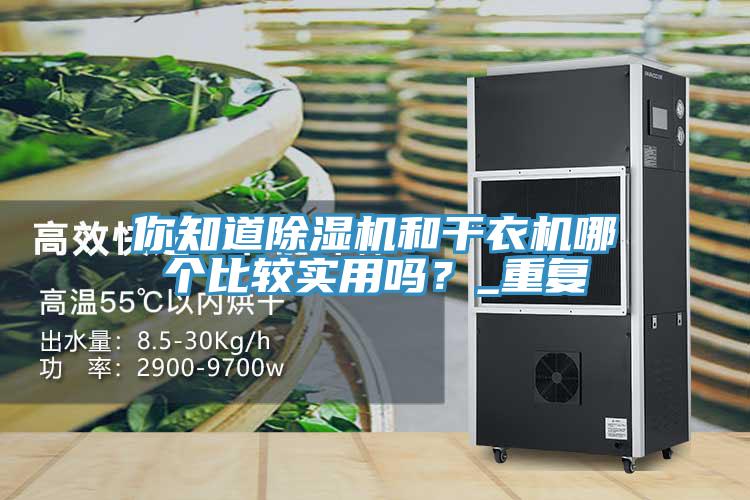 你知道除濕機(jī)和干衣機(jī)哪個比較實(shí)用嗎？_重復(fù)