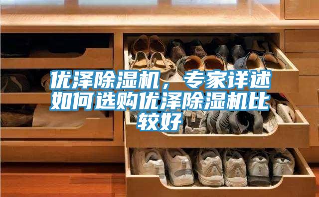 優(yōu)澤除濕機(jī)，專(zhuān)家詳述如何選購(gòu)優(yōu)澤除濕機(jī)比較好