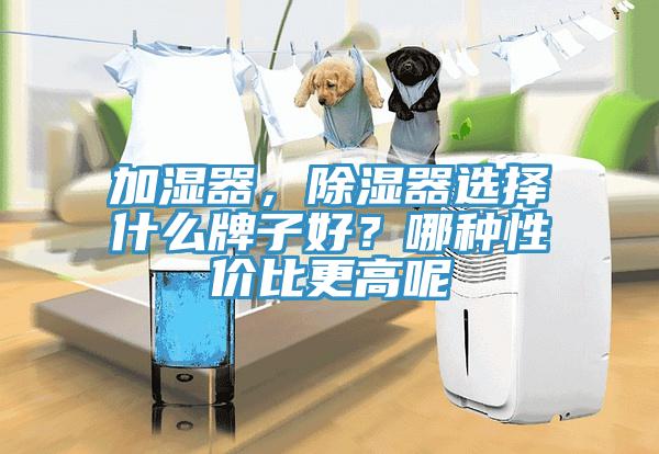 加濕器，除濕器選擇什么牌子好？哪種性價(jià)比更高呢