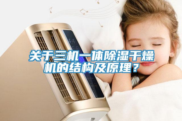關(guān)于三機(jī)一體除濕干燥機(jī)的結(jié)構(gòu)及原理？