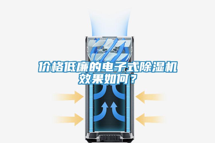 價(jià)格低廉的電子式除濕機(jī)效果如何？