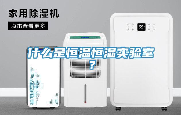 什么是恒溫恒濕實(shí)驗(yàn)室？