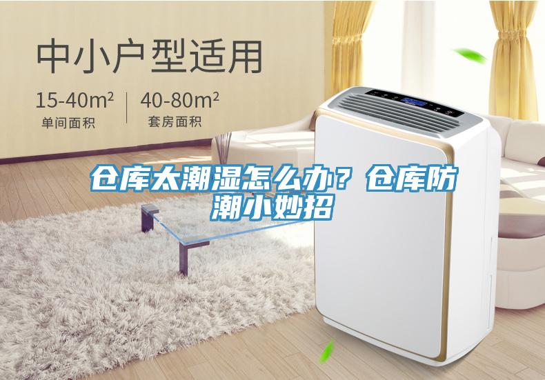 倉庫太潮濕怎么辦？倉庫防潮小妙招