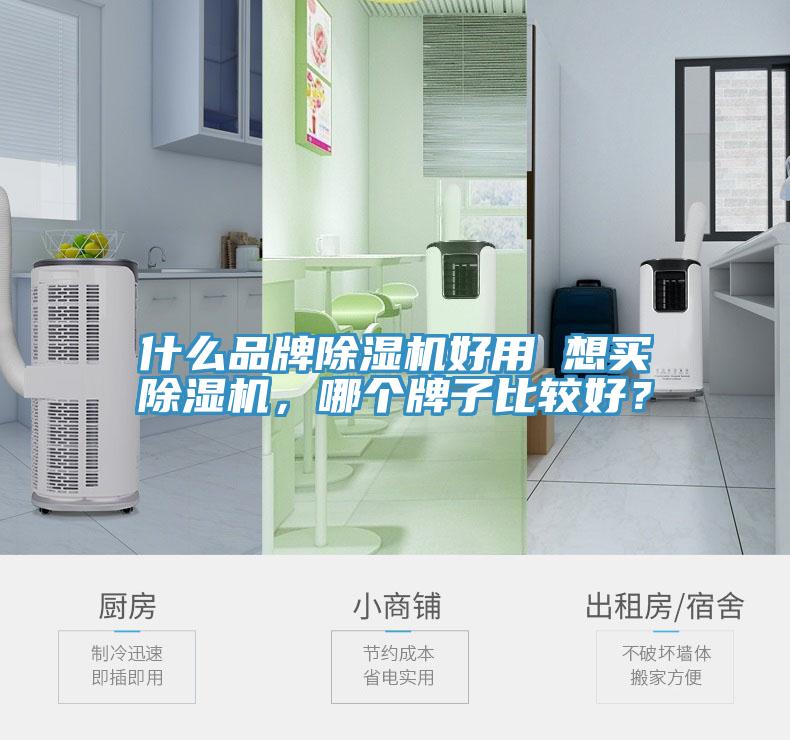 什么品牌除濕機(jī)好用 想買除濕機(jī)，哪個(gè)牌子比較好？