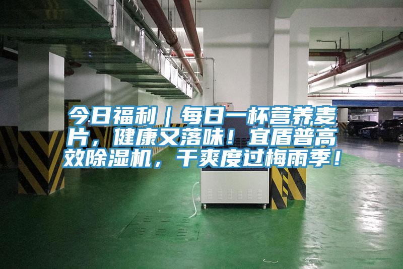 今日福利｜每日一杯營(yíng)養(yǎng)麥片，健康又落味！宜盾普高效除濕機(jī)，干爽度過(guò)梅雨季！