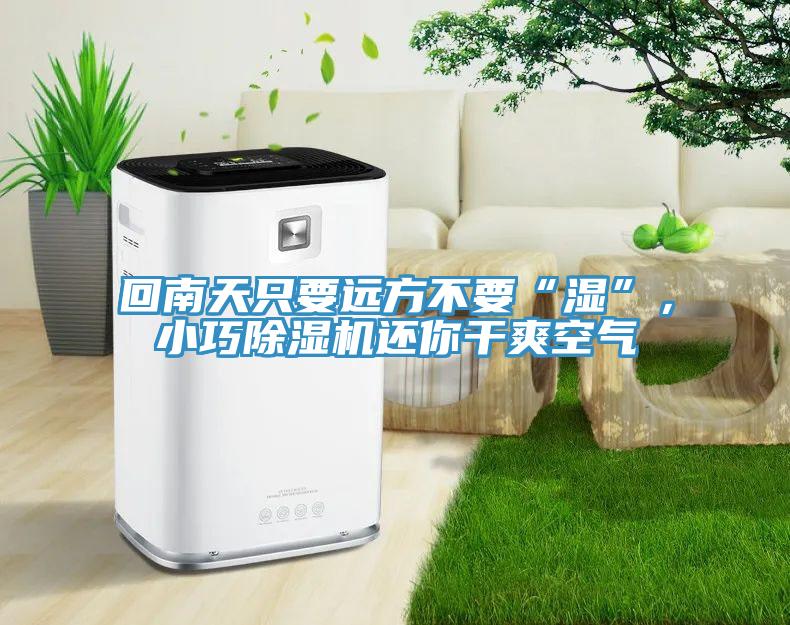 回南天只要遠(yuǎn)方不要“濕”，小巧除濕機(jī)還你干爽空氣