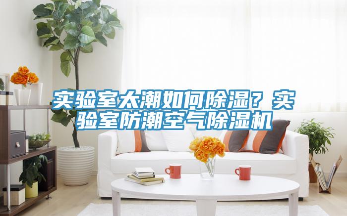 實(shí)驗(yàn)室太潮如何除濕？實(shí)驗(yàn)室防潮空氣除濕機(jī)