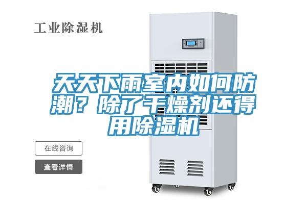 天天下雨室內(nèi)如何防潮？除了干燥劑還得用除濕機(jī)