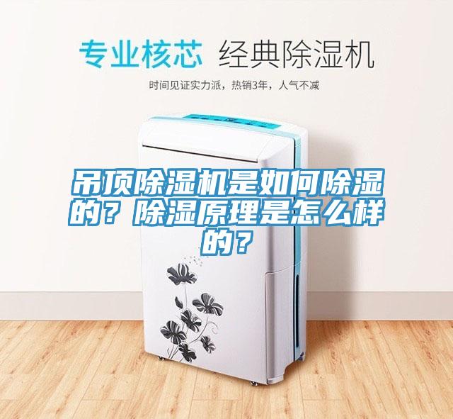 吊頂除濕機是如何除濕的？除濕原理是怎么樣的？