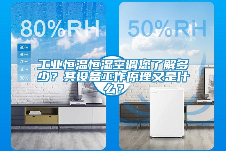 工業(yè)恒溫恒濕空調(diào)您了解多少？其設(shè)備工作原理又是什么？