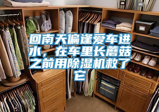 回南天偏逢愛(ài)車進(jìn)水，在車?yán)镩L(zhǎng)蘑菇之前用除濕機(jī)救了它