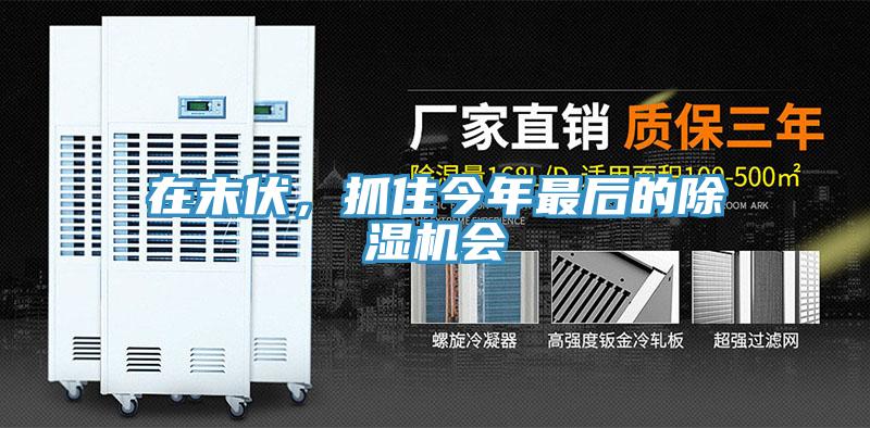 在末伏，抓住今年最后的除濕機會