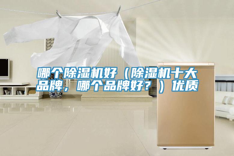 哪個除濕機好（除濕機十大品牌，哪個品牌好？）優(yōu)質(zhì)