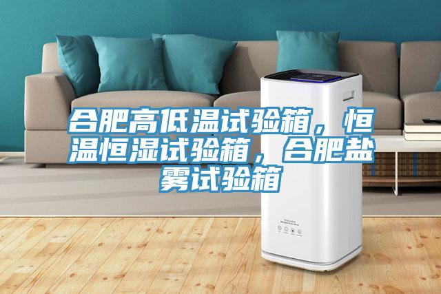 合肥高低溫試驗(yàn)箱，恒溫恒濕試驗(yàn)箱，合肥鹽霧試驗(yàn)箱