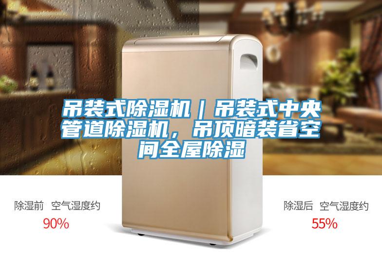 吊裝式除濕機(jī)｜吊裝式中央管道除濕機(jī)，吊頂暗裝省空間全屋除濕