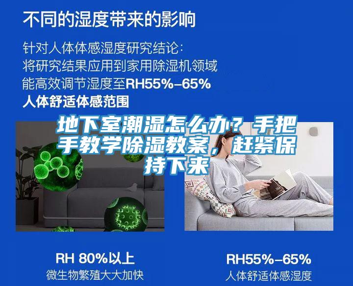 地下室潮濕怎么辦？手把手教學(xué)除濕教案，趕緊保持下來