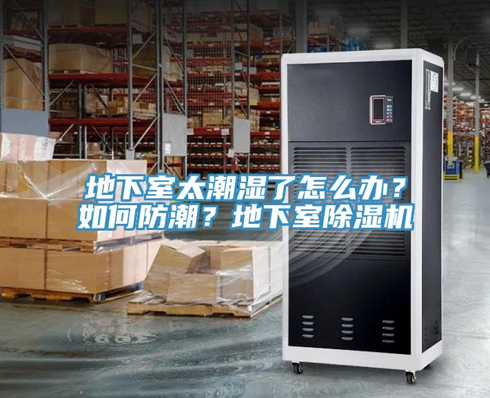 地下室太潮濕了怎么辦？如何防潮？地下室除濕機(jī)