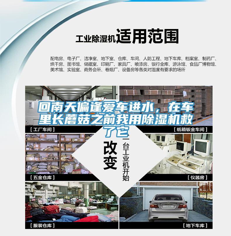 回南天偏逢愛(ài)車進(jìn)水，在車?yán)镩L(zhǎng)蘑菇之前我用除濕機(jī)救了它