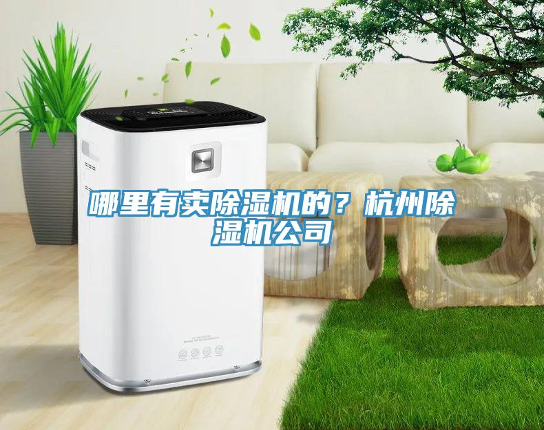 哪里有賣除濕機的？杭州除濕機公司