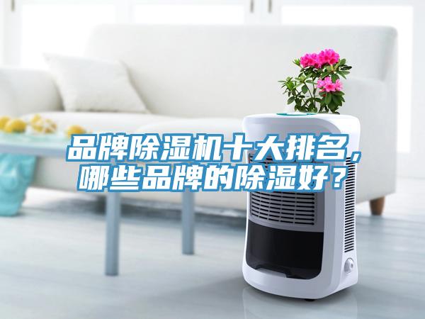 品牌除濕機(jī)十大排名，哪些品牌的除濕好？