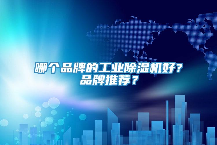 哪個品牌的工業(yè)除濕機(jī)好？品牌推薦？