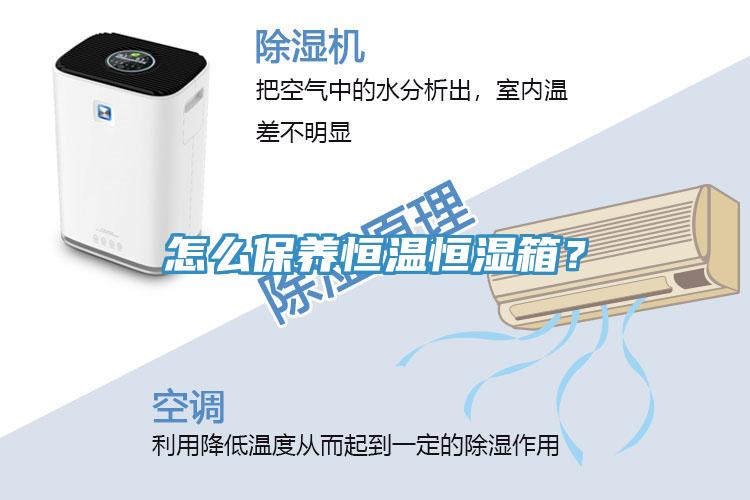 怎么保養(yǎng)恒溫恒濕箱？