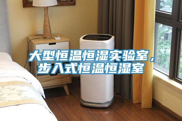 大型恒溫恒濕實(shí)驗(yàn)室，步入式恒溫恒濕室