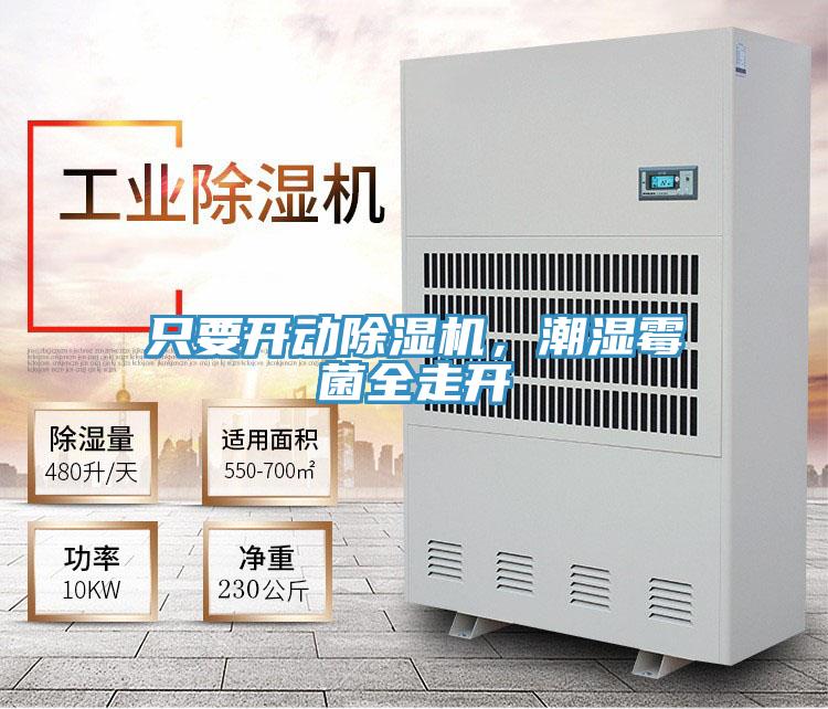 只要開動除濕機，潮濕霉菌全走開