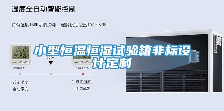 小型恒溫恒濕試驗箱非標設(shè)計定制