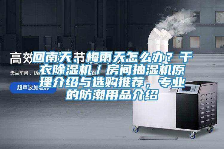 回南天、梅雨天怎么辦？干衣除濕機(jī)／房間抽濕機(jī)原理介紹與選購(gòu)?fù)扑]，專業(yè)的防潮用品介紹