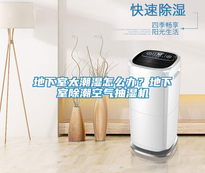 地下室太潮濕怎么辦？地下室除潮空氣抽濕機(jī)