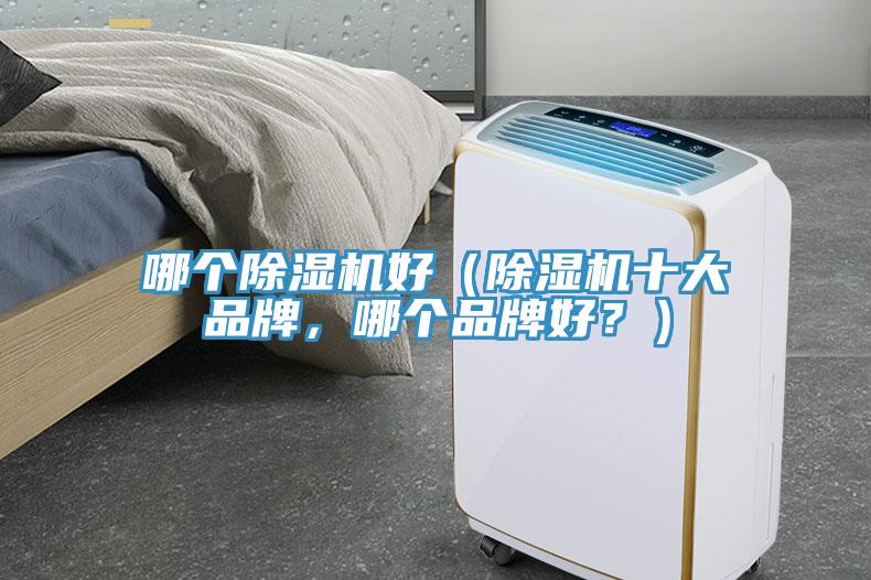 哪個除濕機好（除濕機十大品牌，哪個品牌好？）