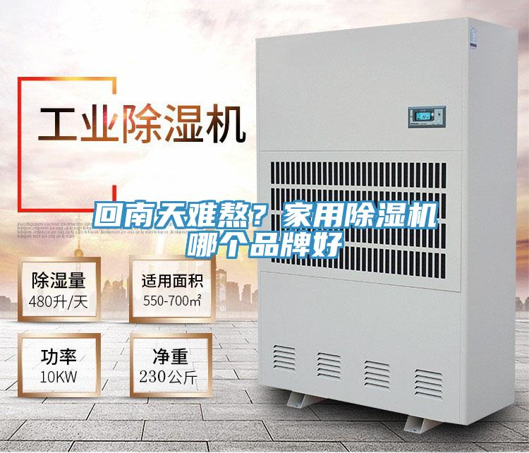 回南天難熬？家用除濕機(jī)哪個(gè)品牌好