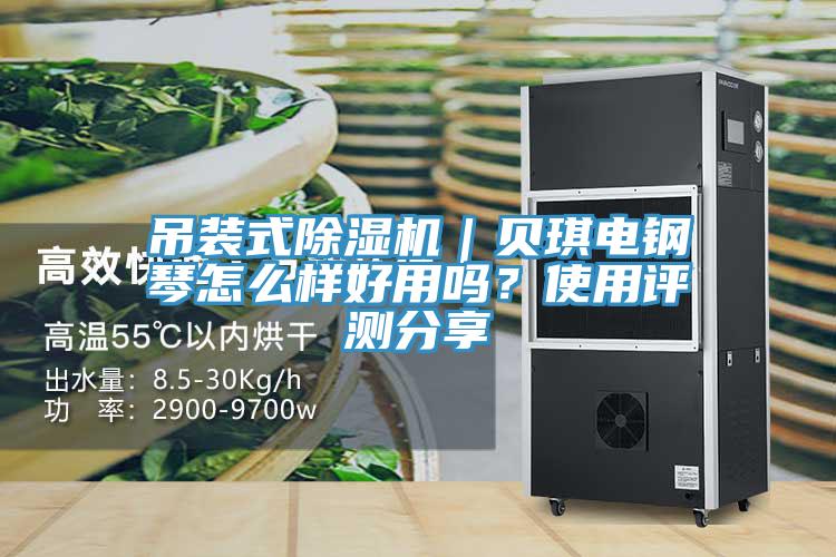 吊裝式除濕機(jī)｜貝琪電鋼琴怎么樣好用嗎？使用評(píng)測(cè)分享