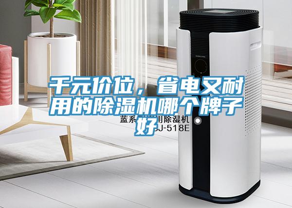 千元價(jià)位，省電又耐用的除濕機(jī)哪個(gè)牌子好