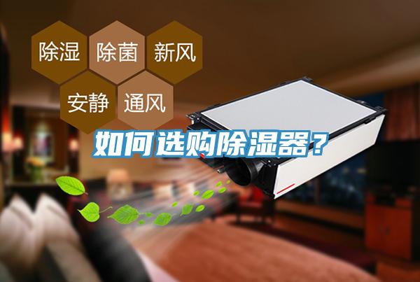 如何選購除濕器？