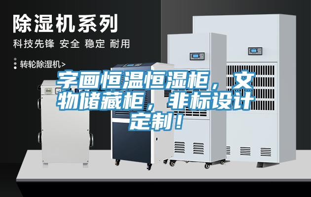 字畫恒溫恒濕柜，文物儲藏柜，非標設計定制！