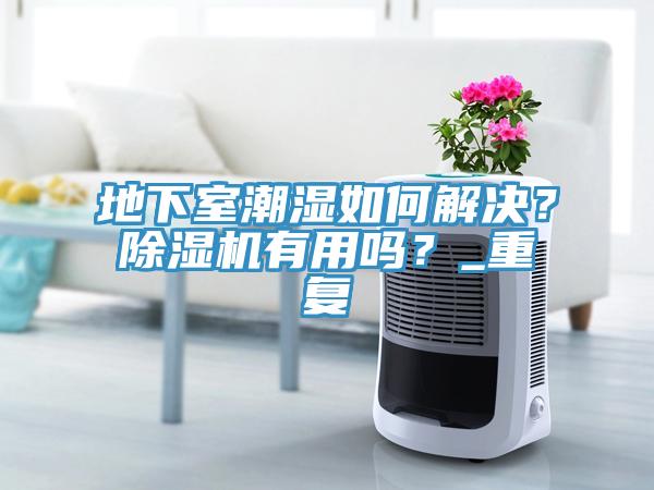 地下室潮濕如何解決？除濕機有用嗎？_重復(fù)