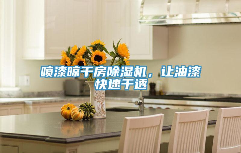 噴漆晾干房除濕機，讓油漆快速干透