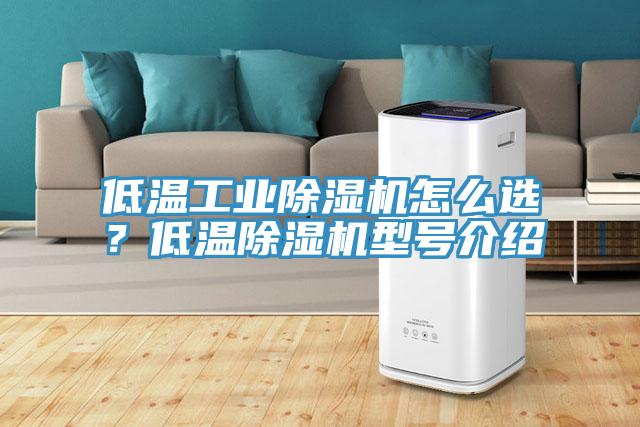低溫工業(yè)除濕機(jī)怎么選？低溫除濕機(jī)型號介紹