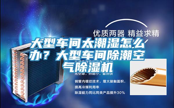 大型車間太潮濕怎么辦？大型車間除潮空氣除濕機