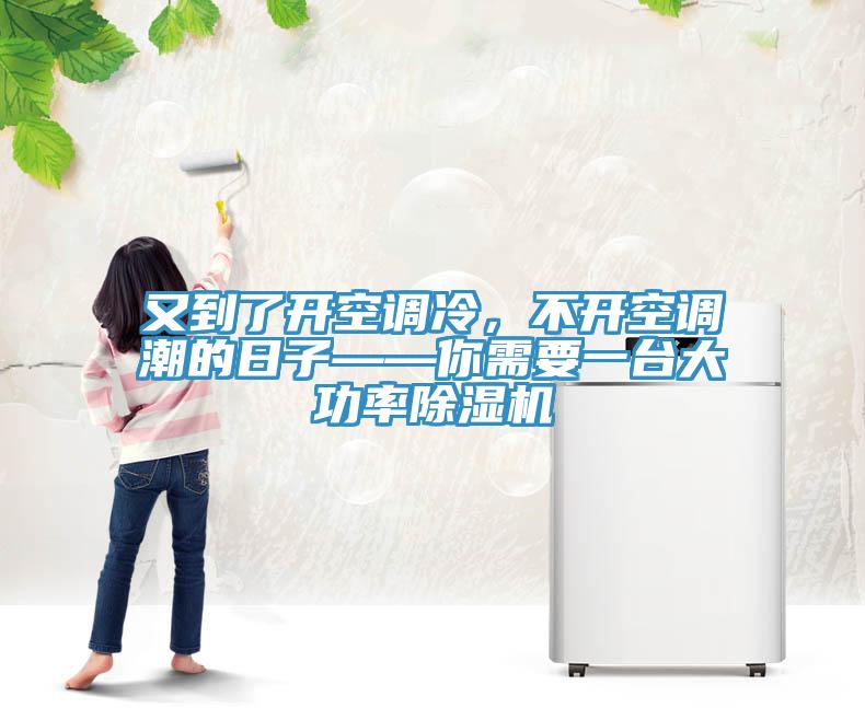 又到了開空調(diào)冷，不開空調(diào)潮的日子——你需要一臺大功率除濕機