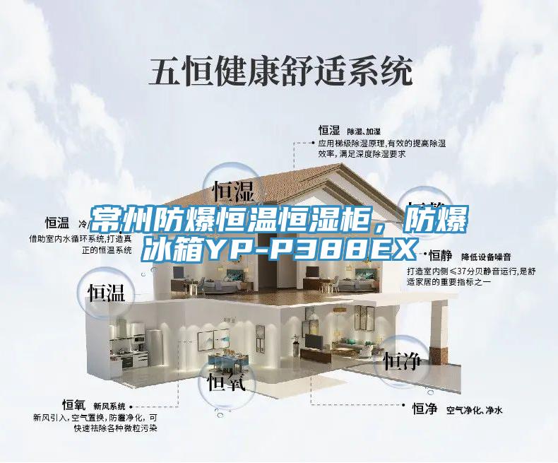 常州防爆恒溫恒濕柜，防爆冰箱YP-P388EX
