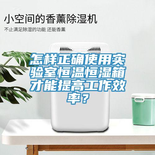 怎樣正確使用實(shí)驗(yàn)室恒溫恒濕箱才能提高工作效率？