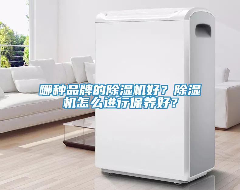 哪種品牌的除濕機好？除濕機怎么進行保養(yǎng)好？