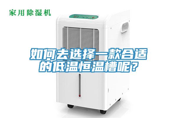 如何去選擇一款合適的低溫恒溫槽呢？
